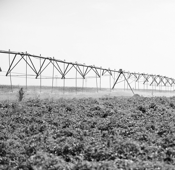 251637803644153790.jpeg a.jpg