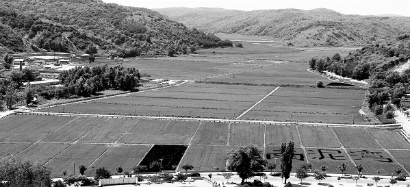 251637803681194749.jpeg b.jpg