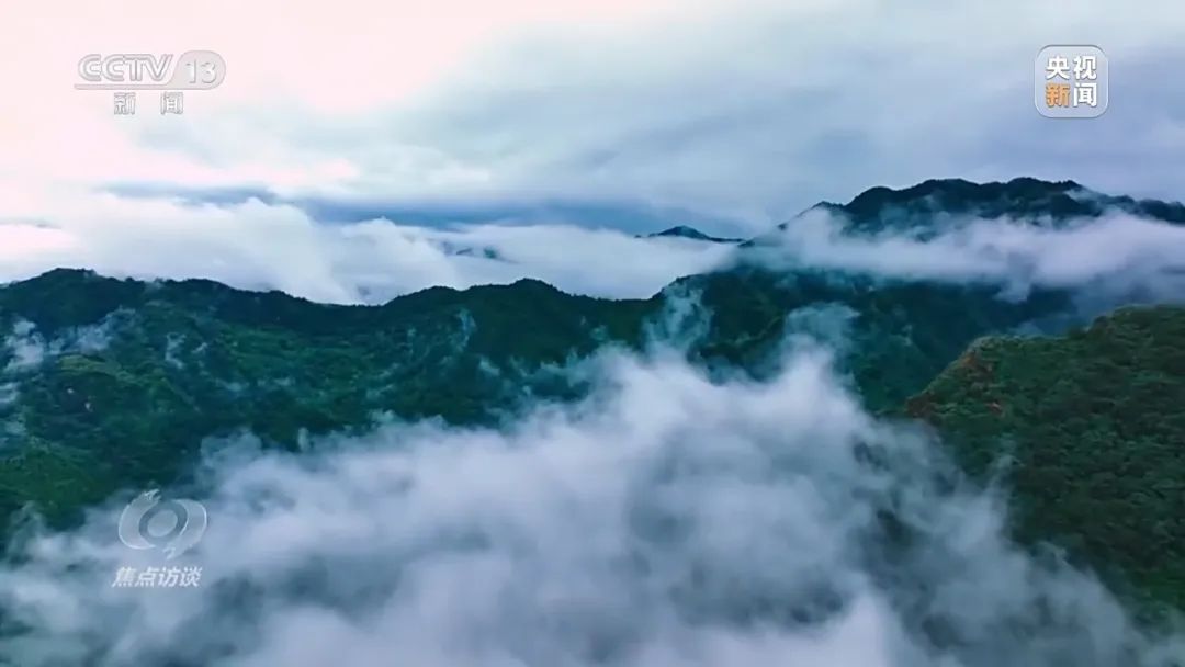 261724636209147595.jpg 640 (3).jpg