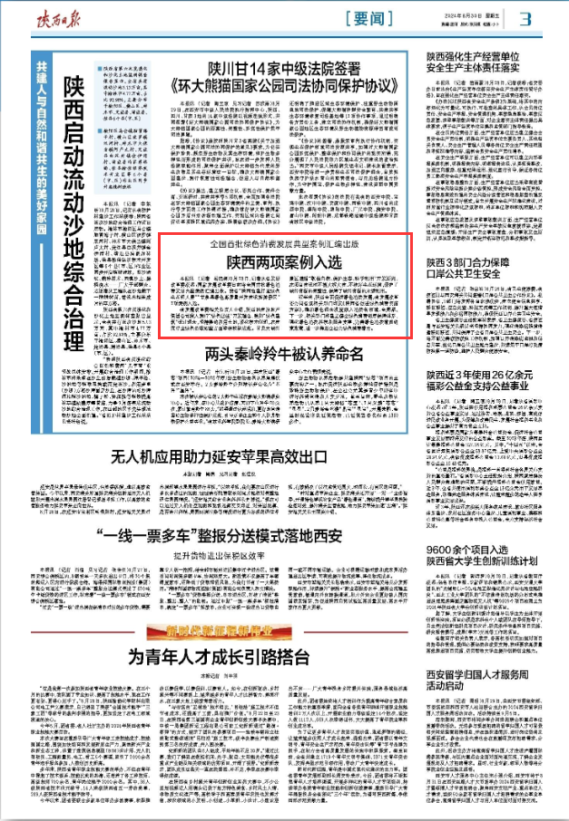 031725354149199841.png image.png