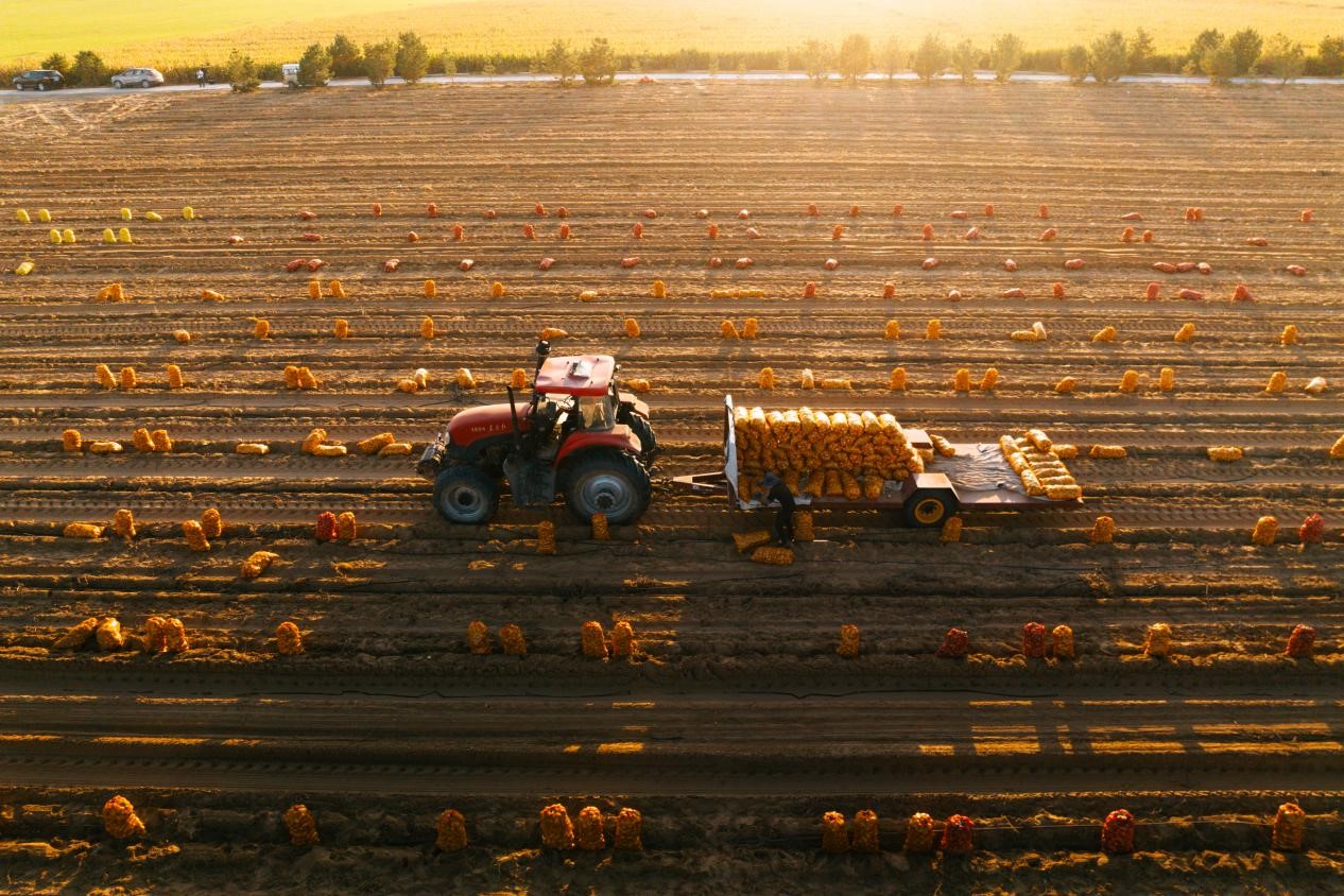 1727254898828486.jpg 1.jpg