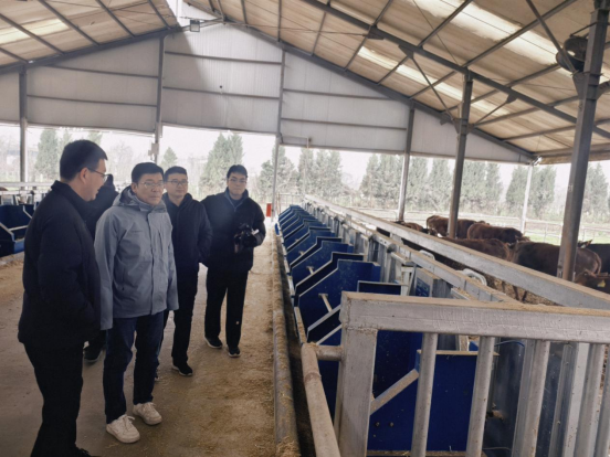 141739506530125694.png image.png