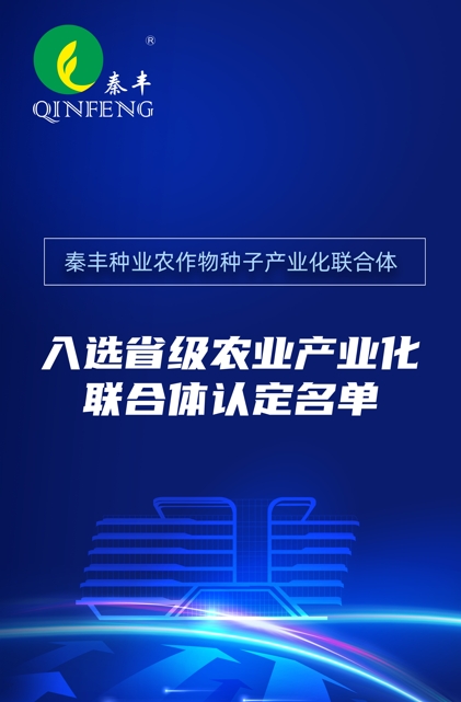 271743069372953633.png 22211.png