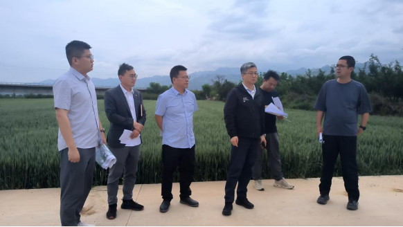 271745748627153296.png image.png