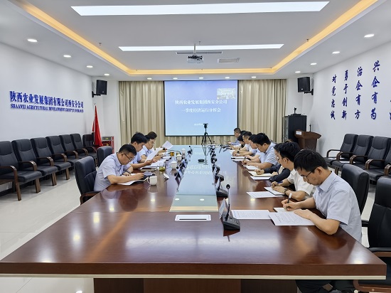 091746773101189501.jpeg 照片-西安分公司召開(kāi)一季度經(jīng)濟(jì)運(yùn)行分析會(huì) - 副本.jpeg