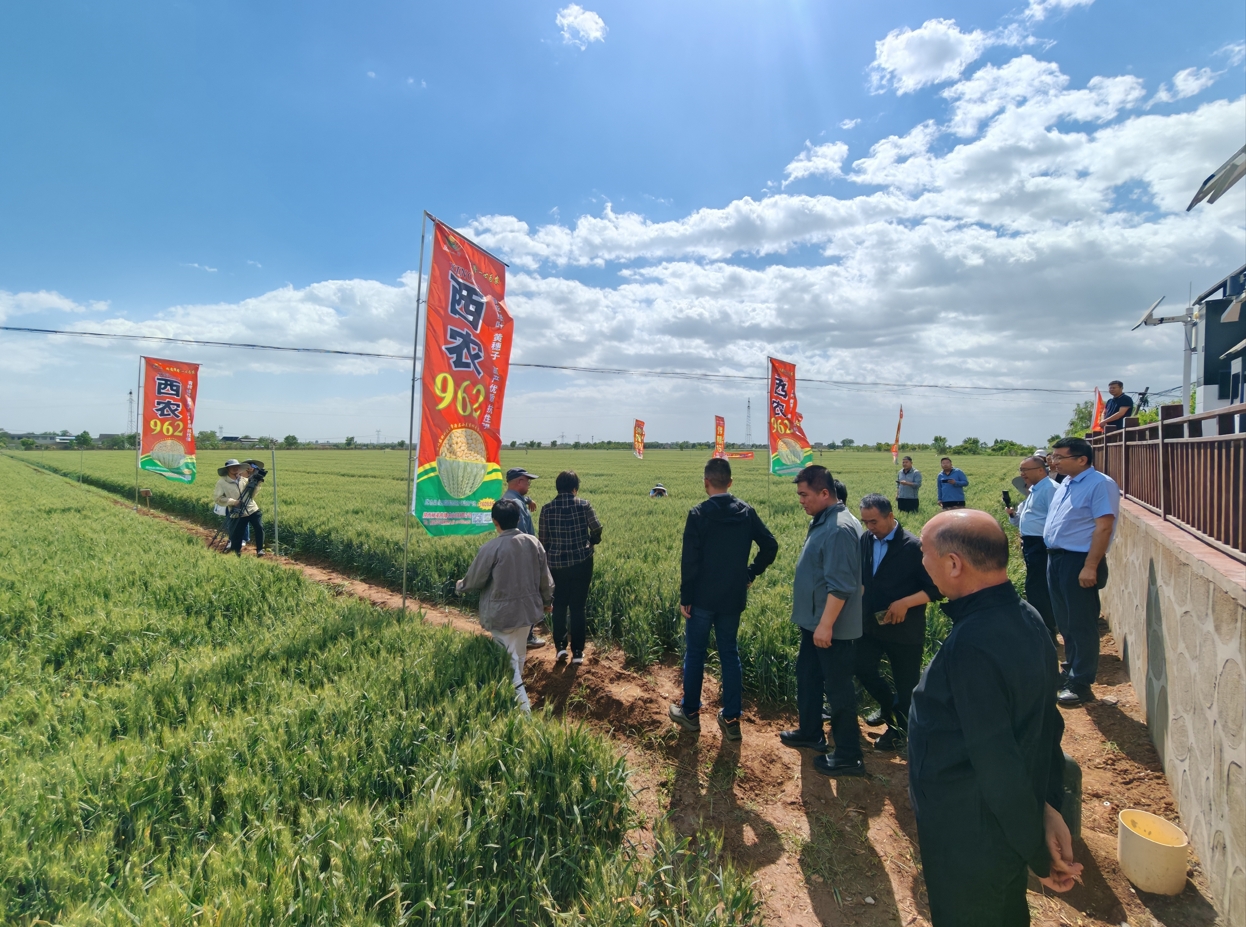 141747183408142743.png 微信截圖_20250514084224.png