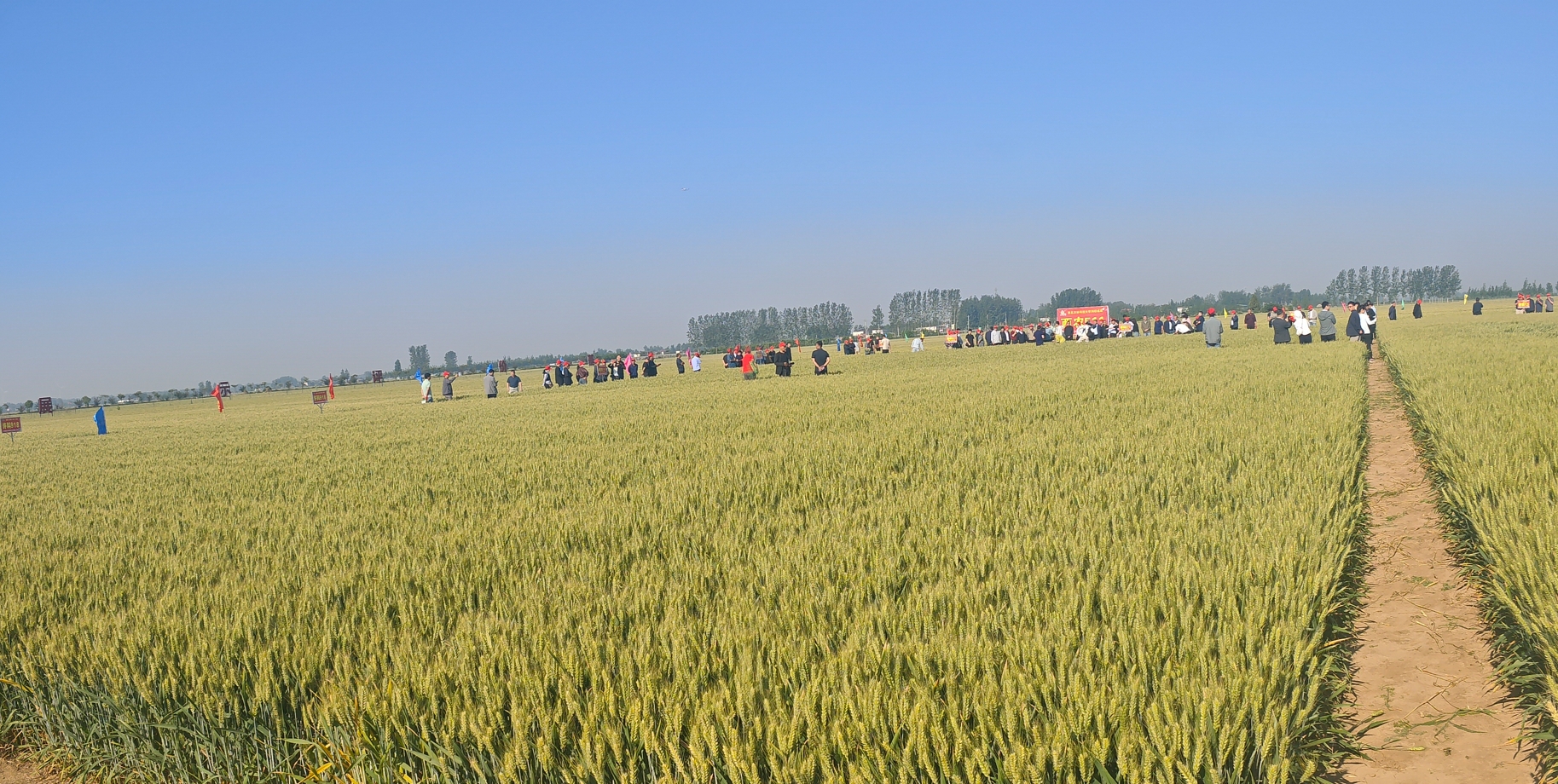 141747183496189799.png 微信截圖_20250514084357.png