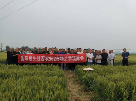 141747194284171235.png image.png