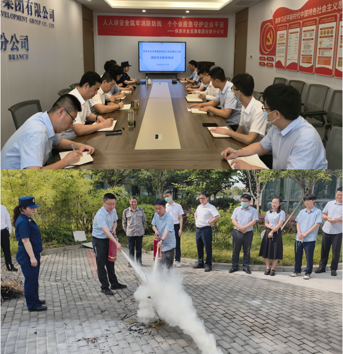 231747999181172017.png image.png