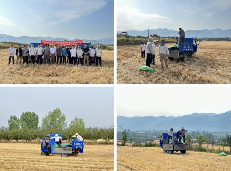 131749803543543182.png image.png