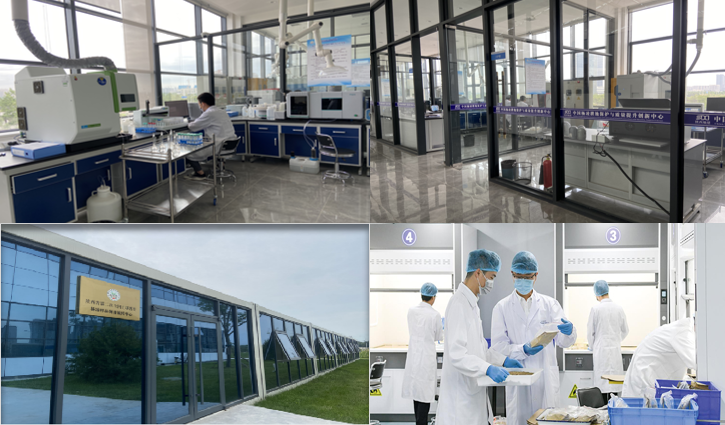 161750063589145712.png image.png