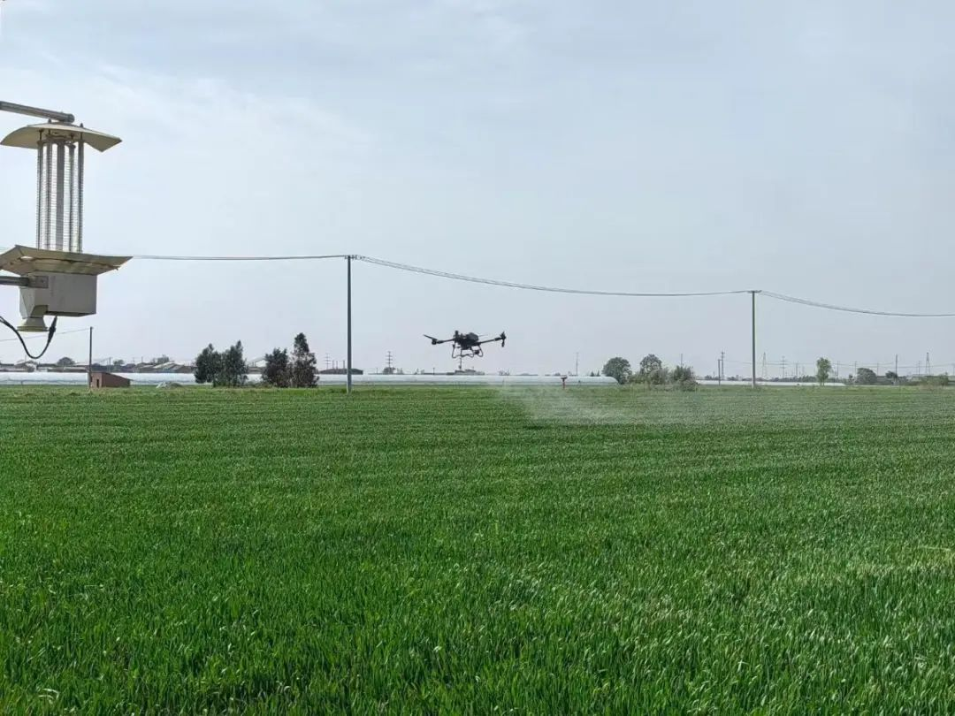 191750326170578268.png 圖片1.png