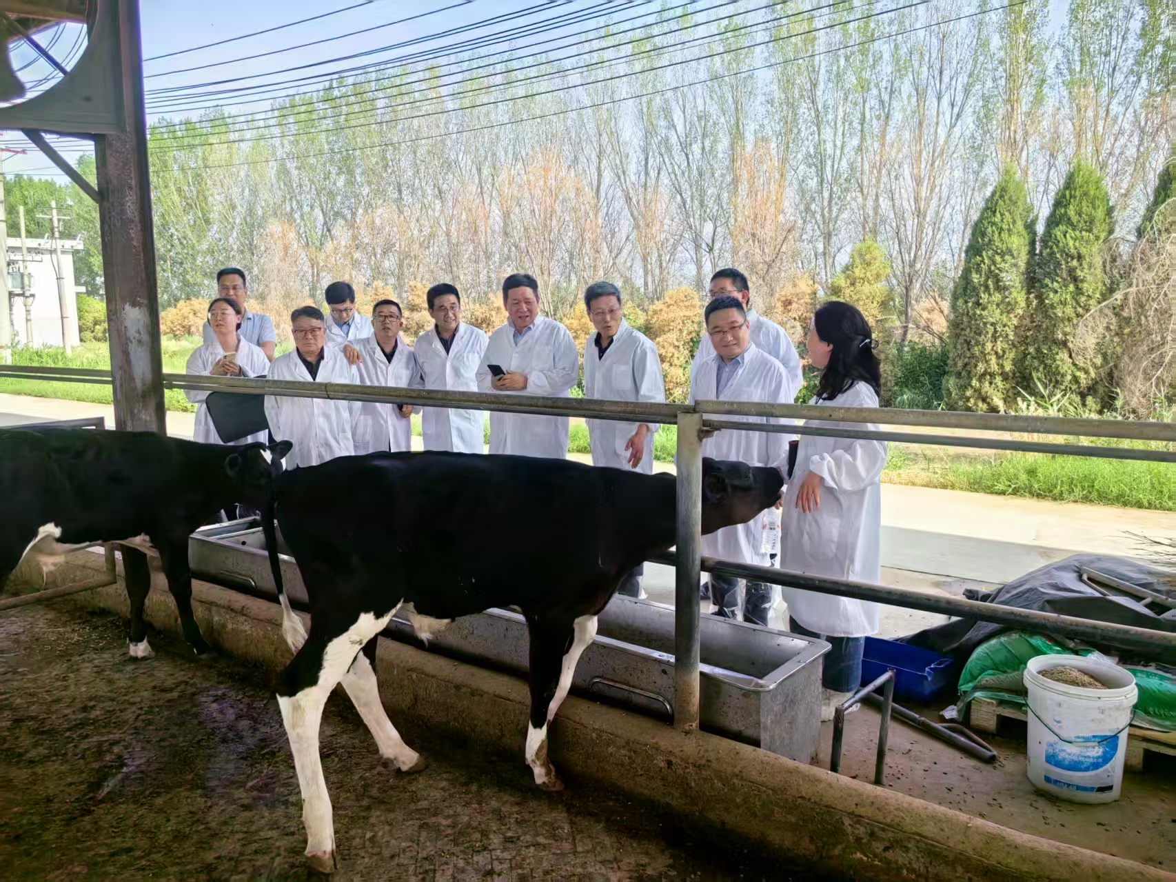 201750408334993090.jpg 201750408334993090.jpg