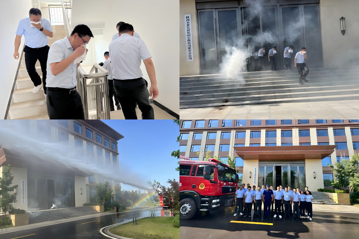 251750841452178846.png WPS拼圖1.png