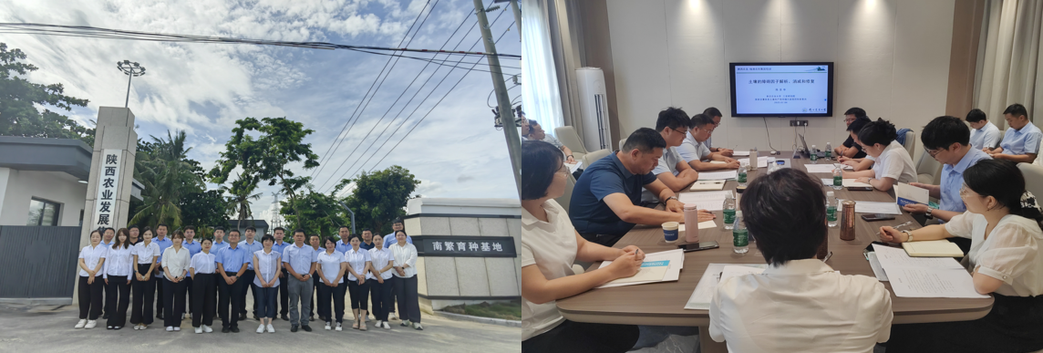 071751858303138596.png image.png