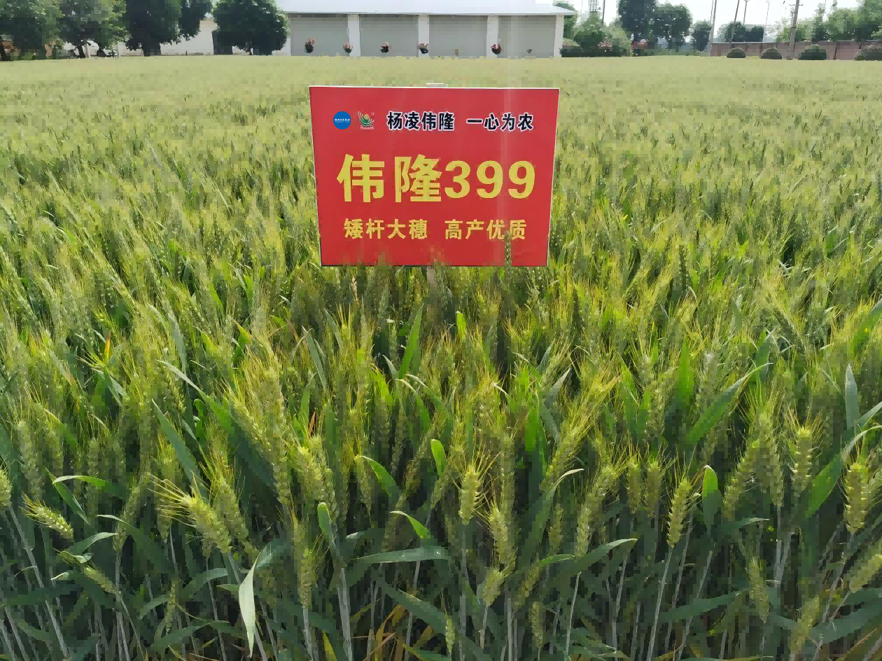 101752142120267564.png 微信圖片_20250710180708(1).png