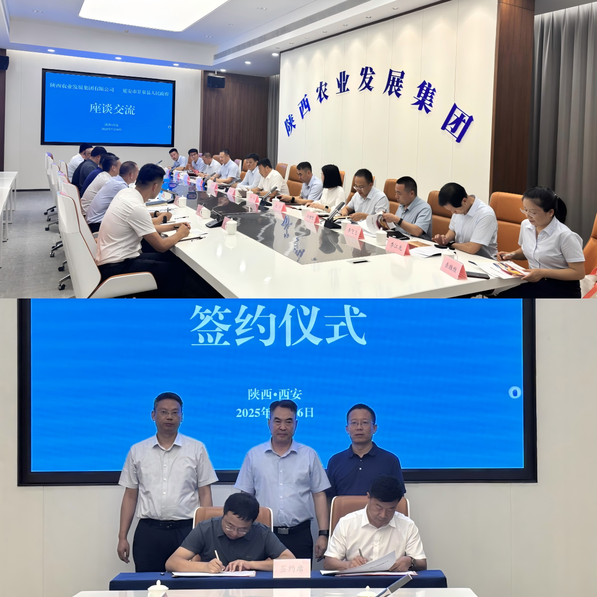 171752751668116739.png WPS拼圖0.png