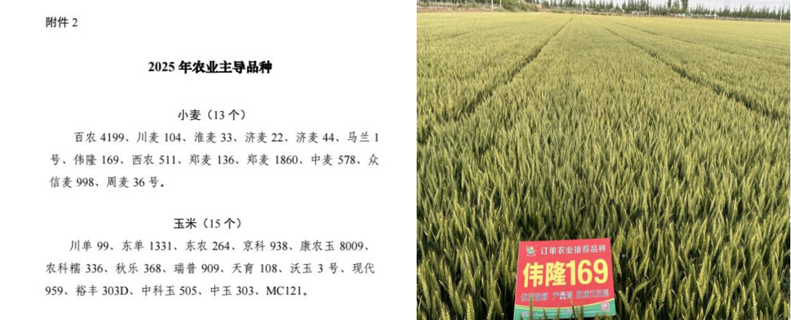 231753239158141458.png image.png