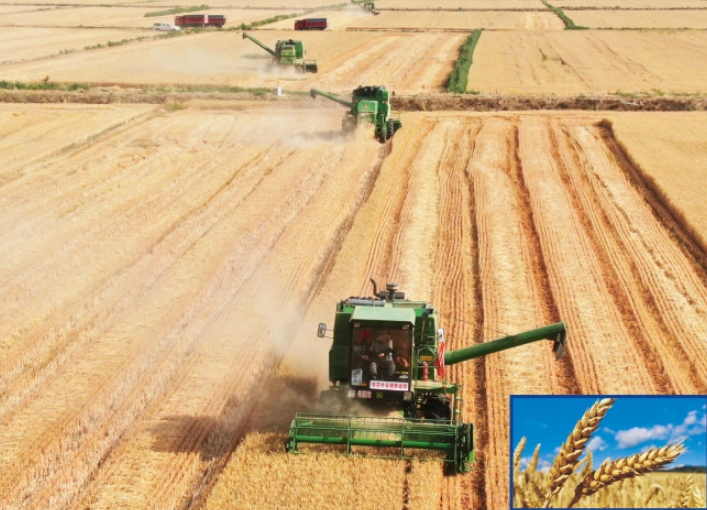 281753694464911241.png image.png