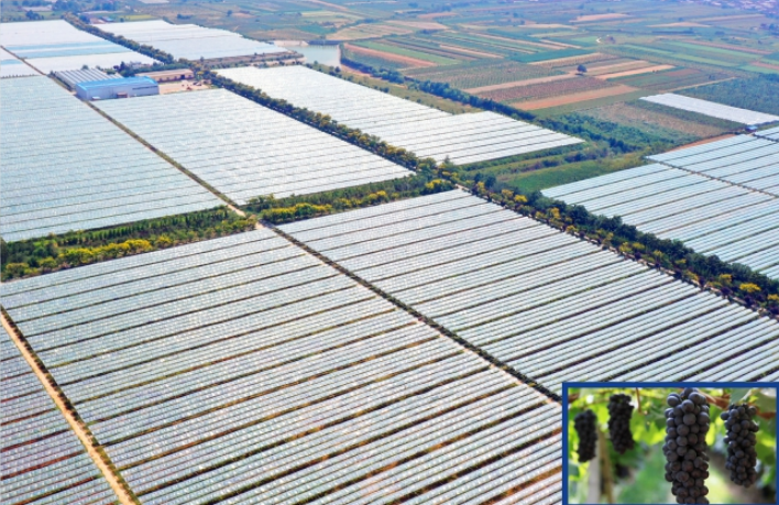 281753694486172186.png image.png