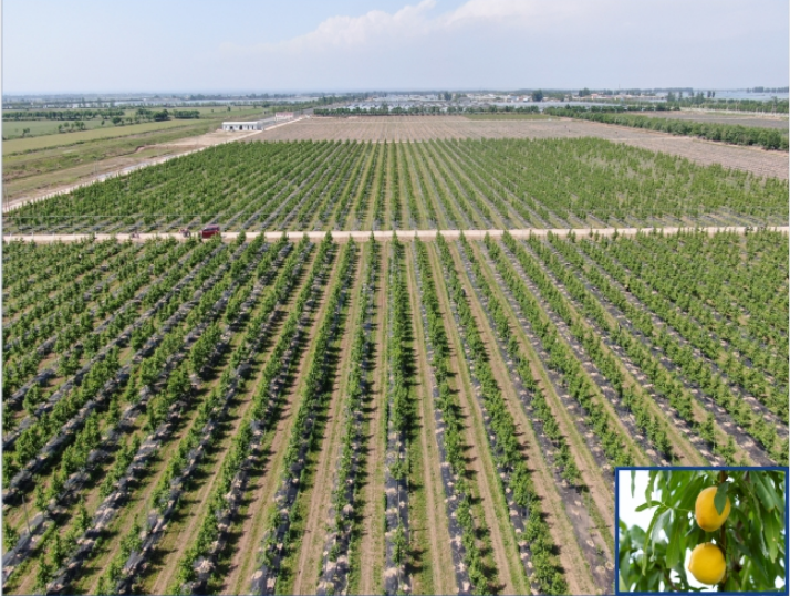 281753694515564030.png image.png