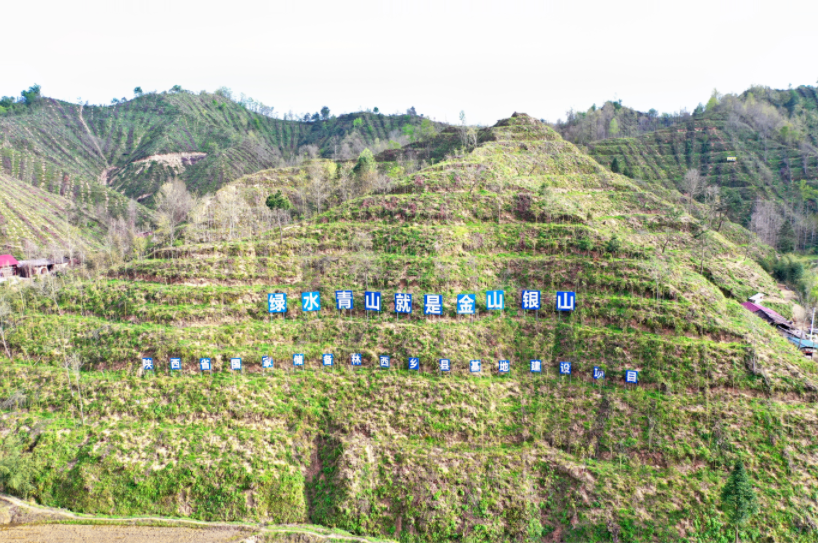 281753695928132888.png image.png