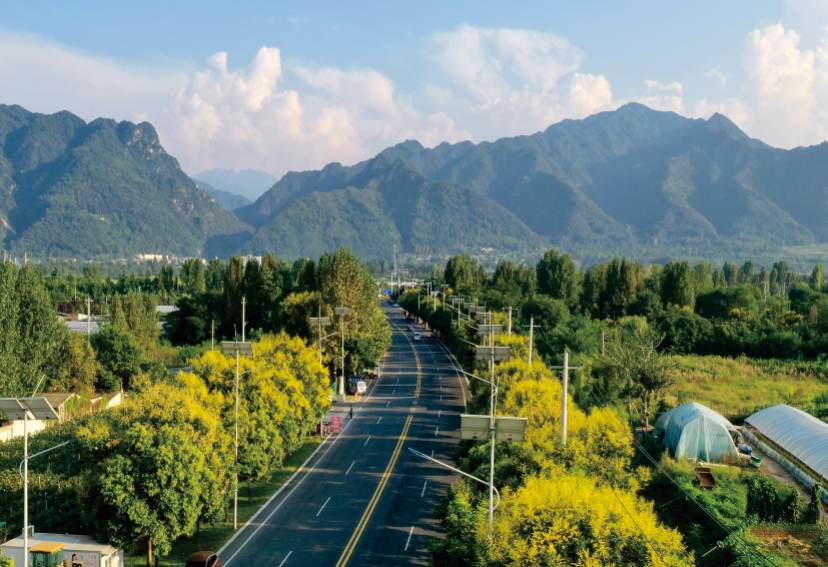 281753696251700786.png image.png