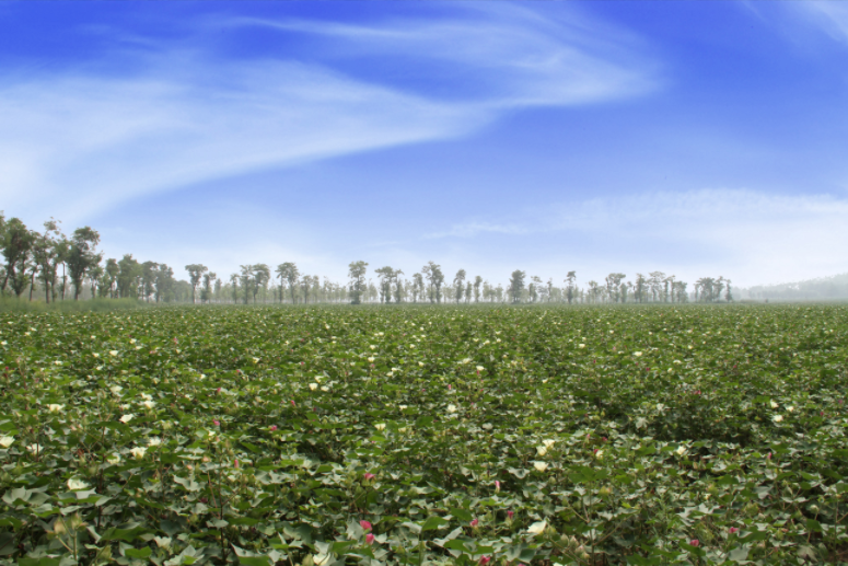 051754386087114200.png image.png