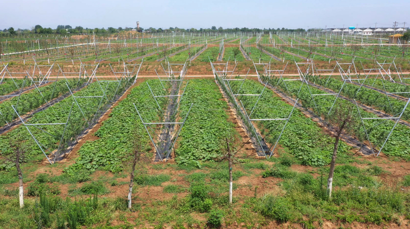 051754386890132018.png image.png