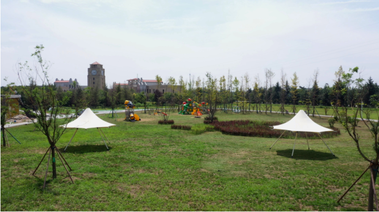 051754386925830855.png image.png