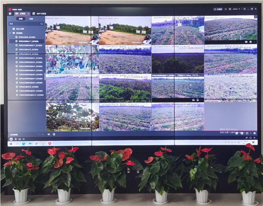 051754387782138144.png image.png