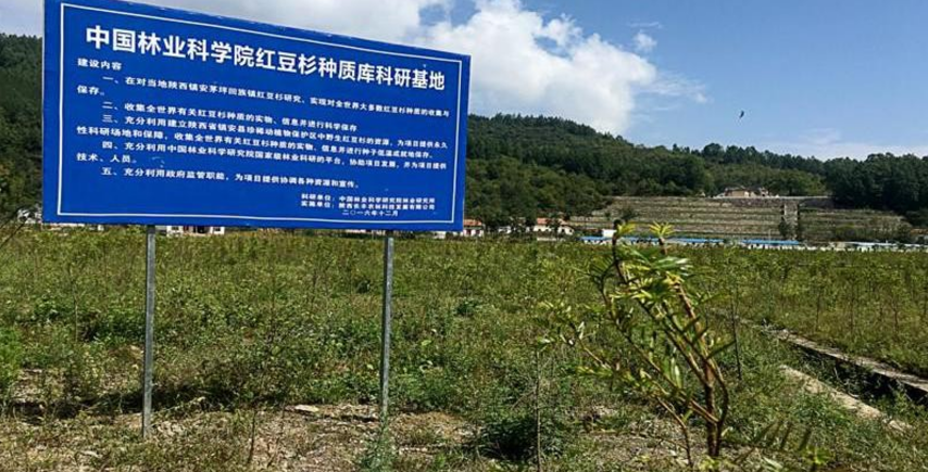 061754449915836244.png image.png