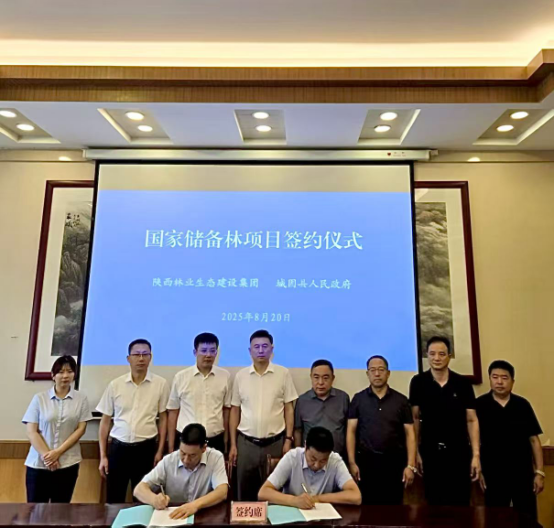 271756280638125178.png image.png