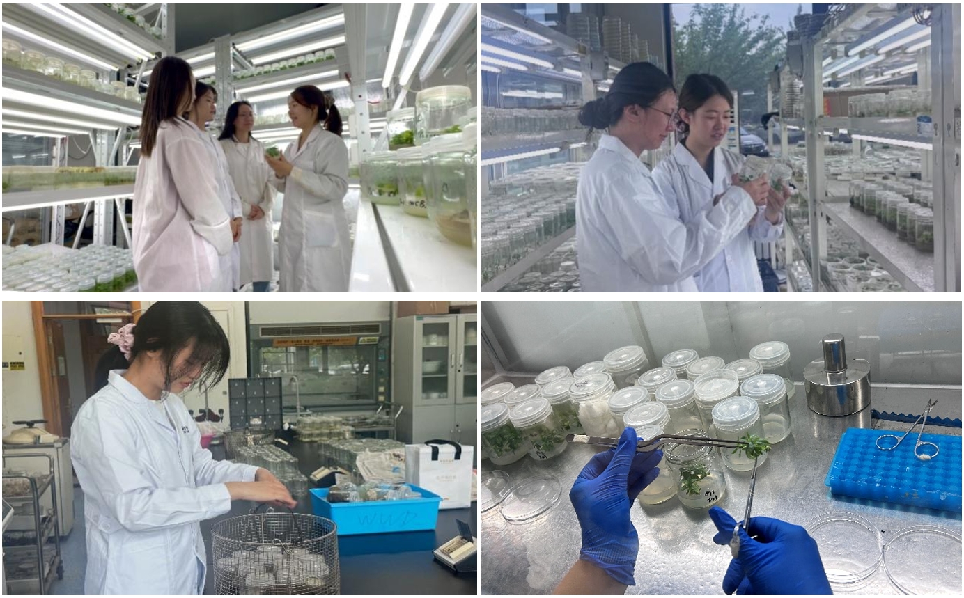 011756714995145874.jpg 微信截圖_20250901162218.jpg