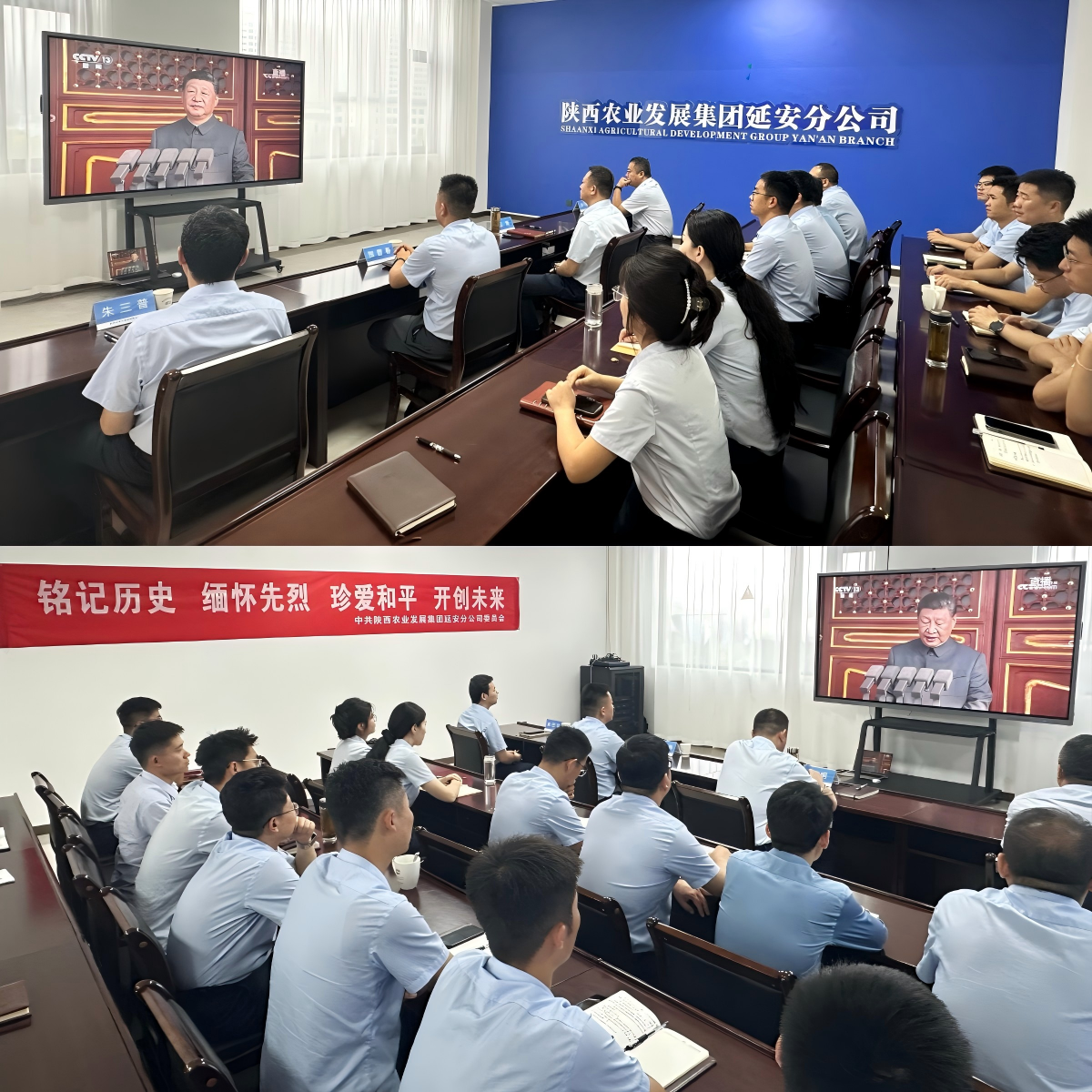 041756947414102425.png WPS拼圖1.png