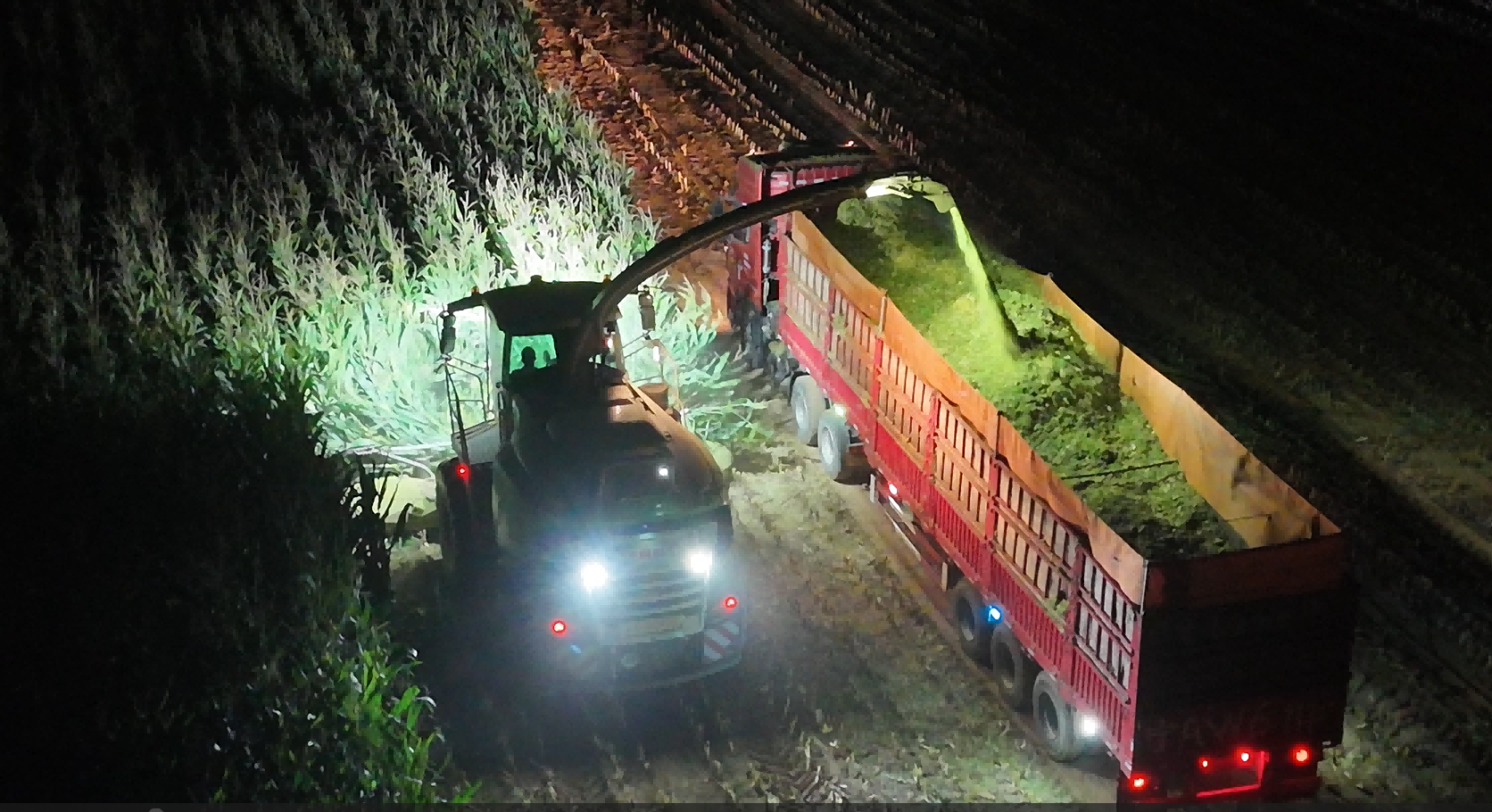 171758076217122080.png 2.png