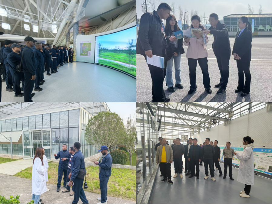 291761726442132020.png image.png